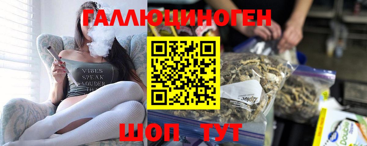 Чебоксары  где купить наркоту  Вход с VPN  Псилоцибиновые грибы Cubensis 